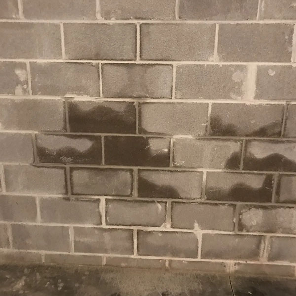 damp-spots-on-basement-wall-6x6