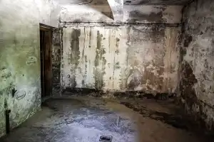 damage in basement