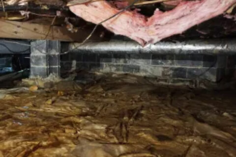 Damaged insulation in crawl space