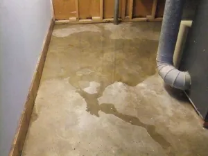 water in basement