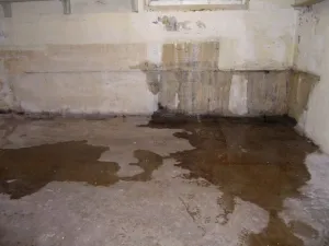 leakage in the basement