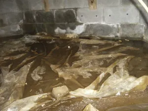 waterproof your crawl space