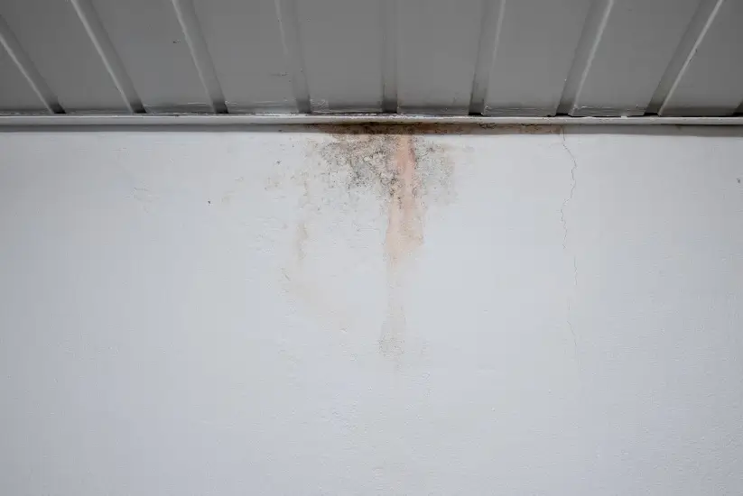 Waterproofing is needed for mold on a basement wall in Munhall, PA