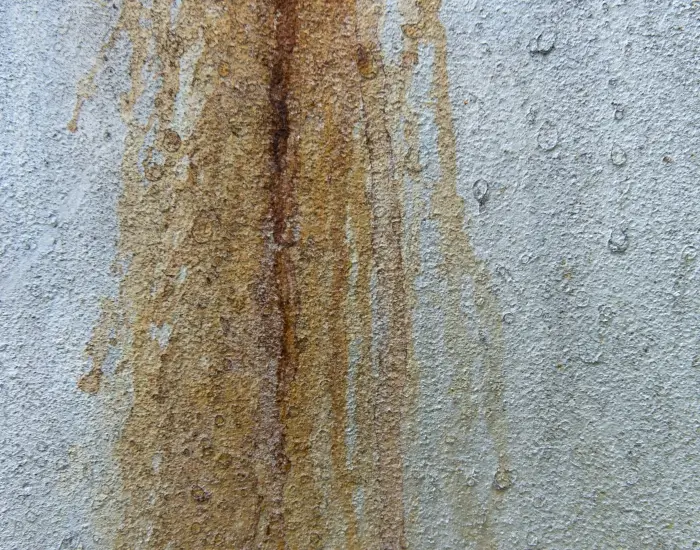 Mold on a wall in Natrona Heights, PA, home needing basement waterproofing